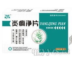 炎痢凈片 傳承中醫(yī)經典，助力腸道健康 —— 誠招合伙人